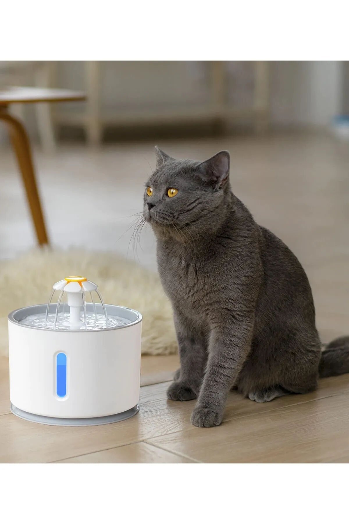 Kedi Köpek Için Otomatik Su Pınarı Su Çeşmesi Su Sebili 2.4 lt Usb Ile Çalışır