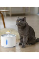 Kedi Köpek Için Otomatik Su Pınarı Su Çeşmesi Su Sebili 2.4 lt Usb Ile Çalışır