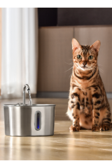 2.2 L Su Seviyesi Göstergeli Paslanmaz Çelik Kedi Köpek Için Su Pınarı Su Çeşmesi Su Sebili