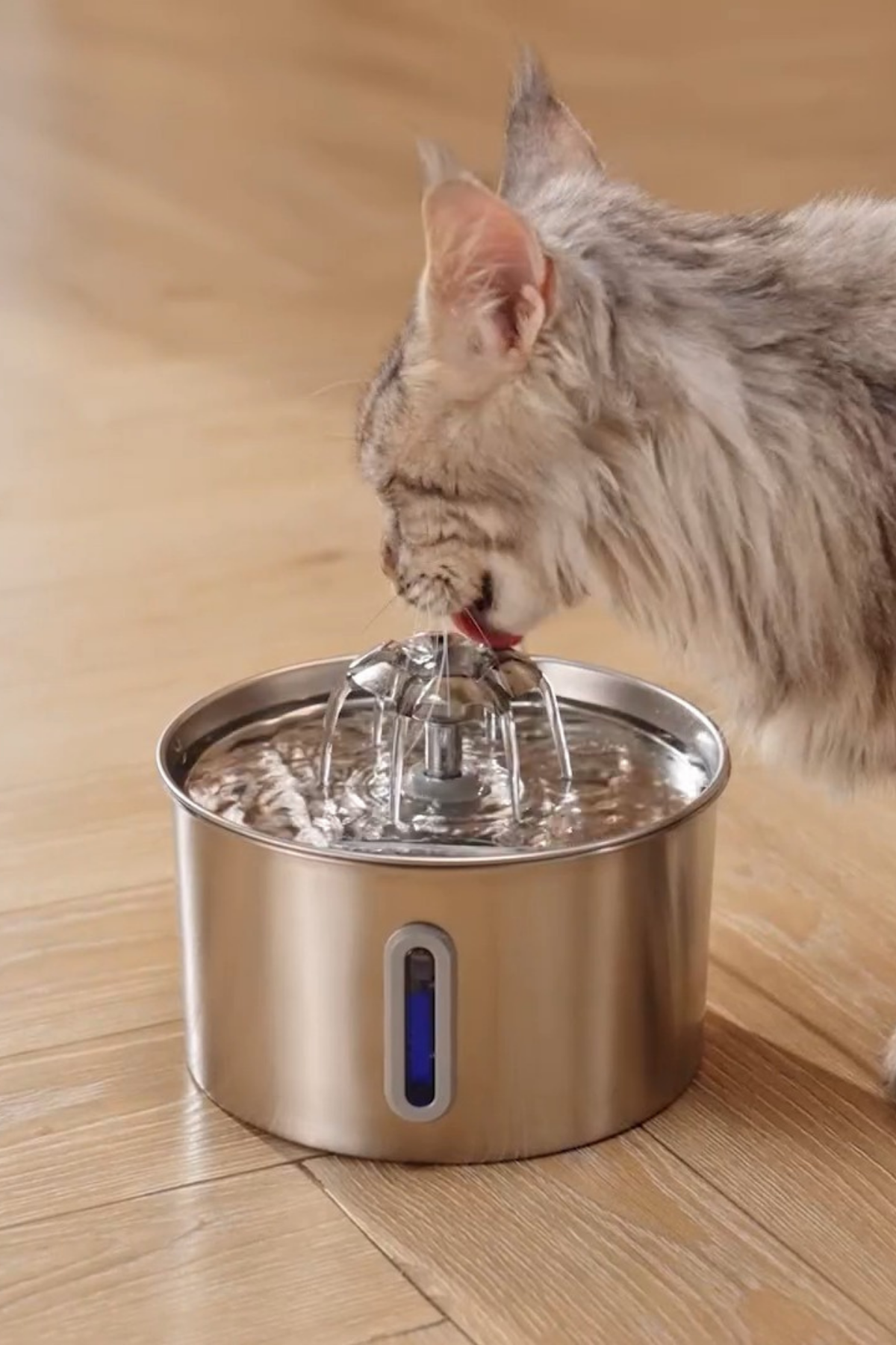 Su Seviyesi Göstergeli 2.2 L Paslanmaz Çelik Kedi Köpek Için Su Pınarı Su Çeşmesi Su Sebili Bp02