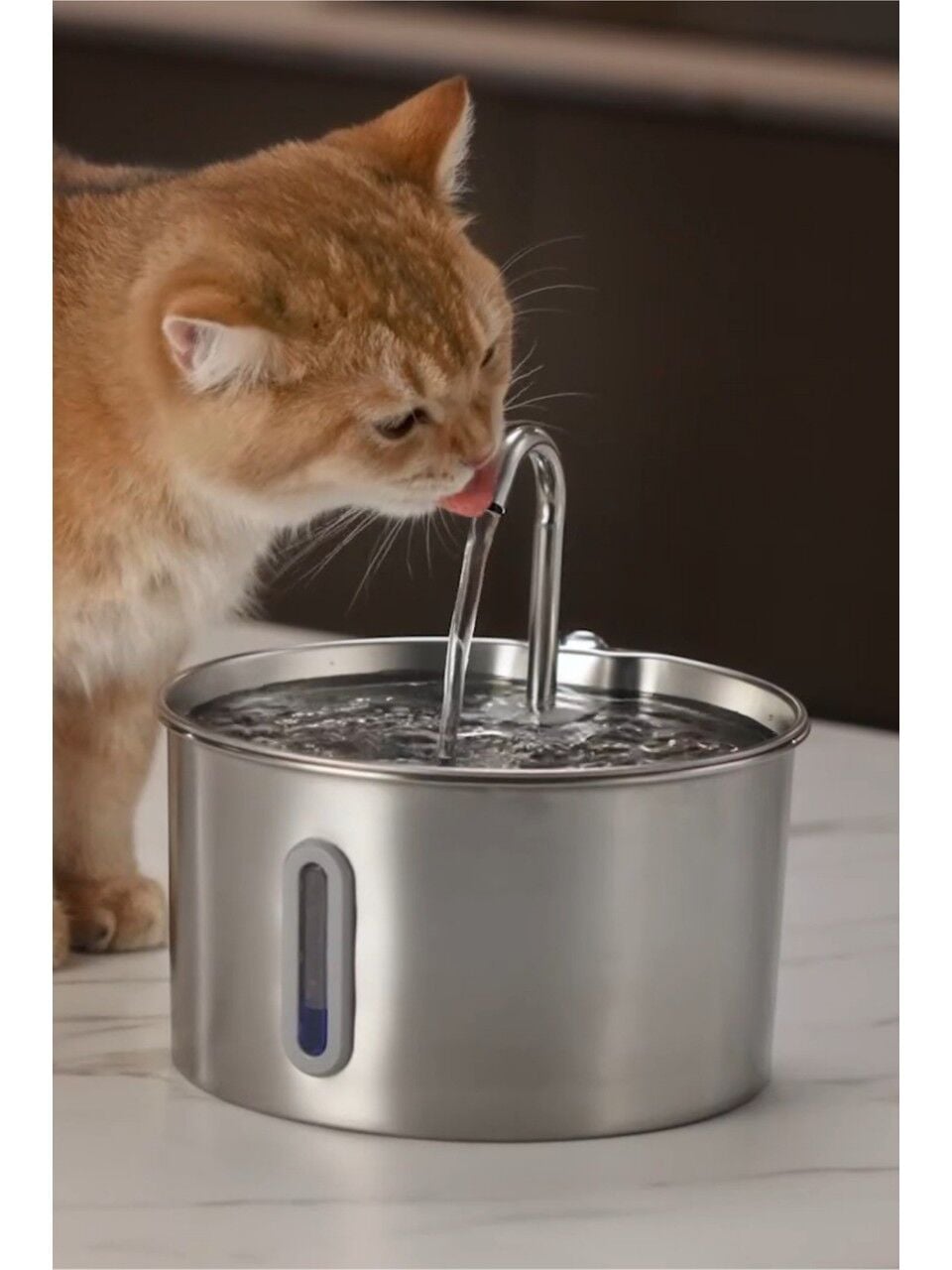 Su Seviyesi Göstergeli 2.2 L Paslanmaz Çelik Kedi Köpek Için Su Pınarı Su Çeşmesi Su Sebili S12